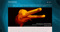 Desktop Screenshot of michelbraunstein.com